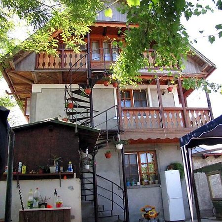 Casa Oana Hotel Sulina Ngoại thất bức ảnh