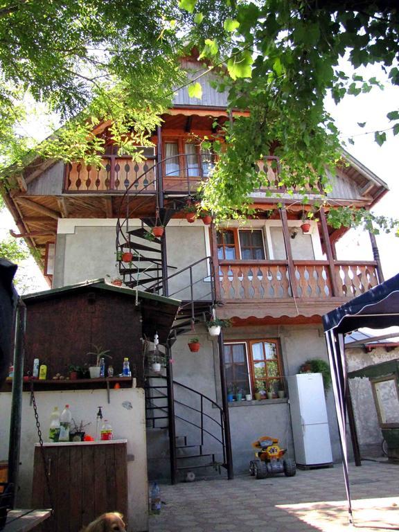 Casa Oana Hotel Sulina Ngoại thất bức ảnh